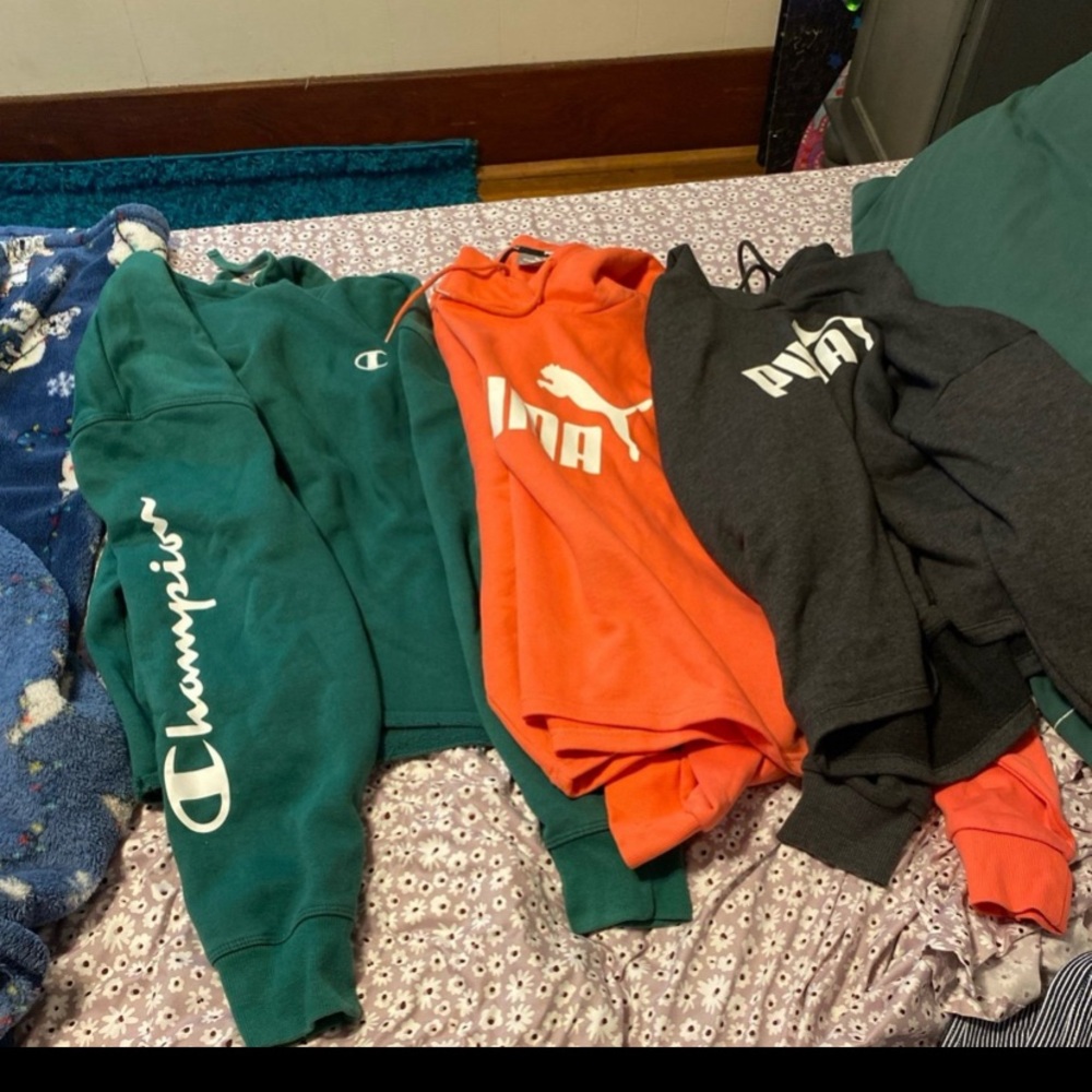 Puma and Champion Cropped Hoodies
